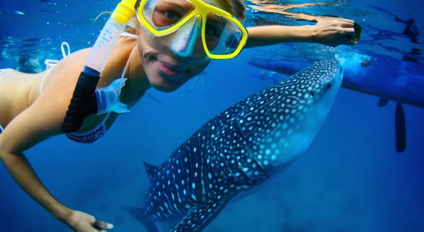 Dharavandhoo Stay
 фотография отеля Фото 
Dharavandhoo Stay